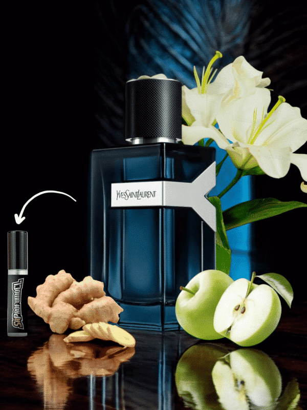 Decant YSL Y EDP Intense